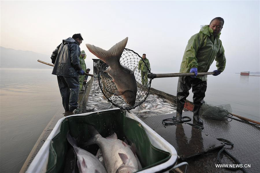Début de la saison de la pêche sur le Lac aux Fées de Xinyu