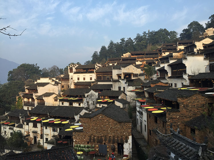 Wuyuan : la beauté idyllique d'un village chinois