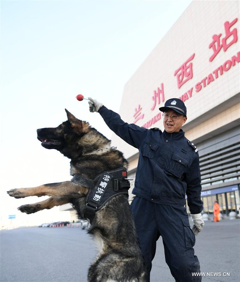 Chine : des chiens policiers aident à assurer la sécurité dans les gares