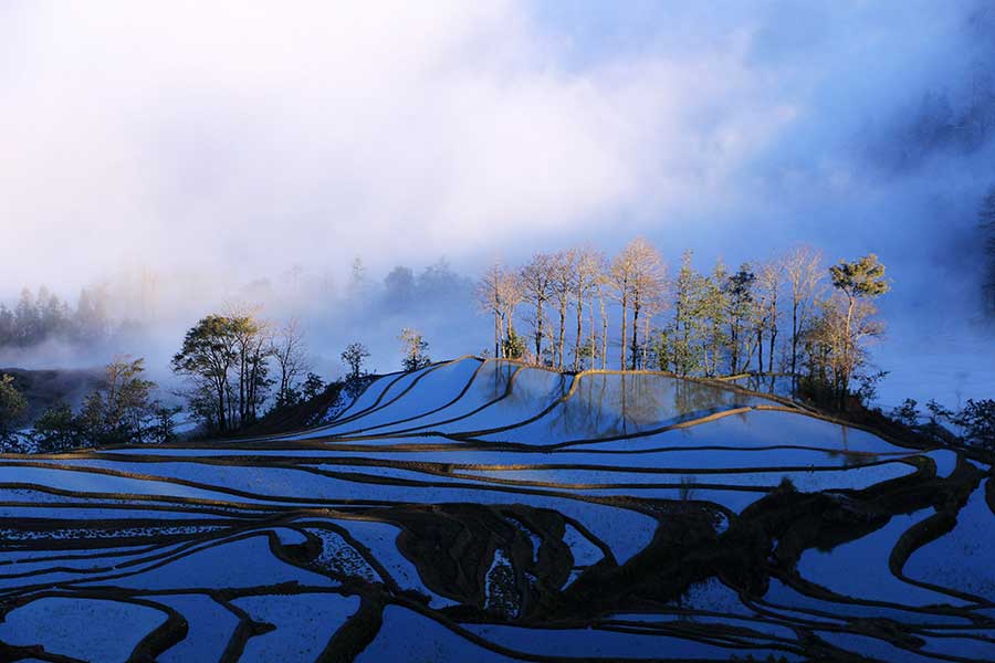 Les rizières en terrasse des Hani du Yunnan sont entrées dans leur plus belle saison de l'année