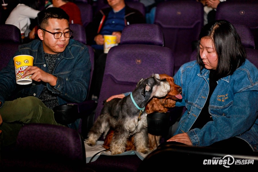 Xi’an : une séance de cinéma à partager avec son chien 