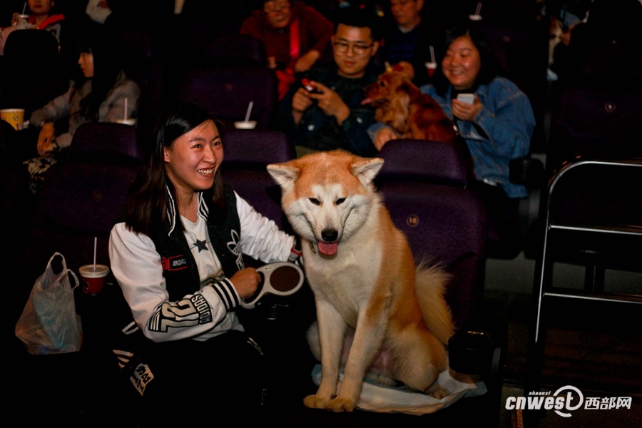 Xi’an : une séance de cinéma à partager avec son chien 