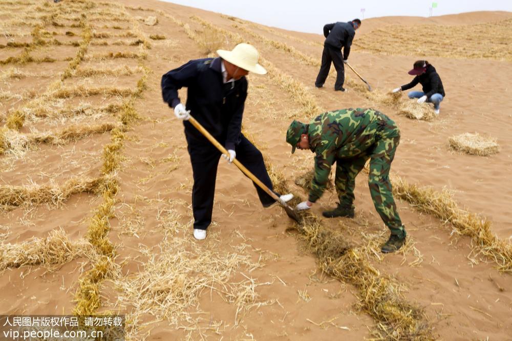 Le Gansu s’active dans la lutte contre la désertification