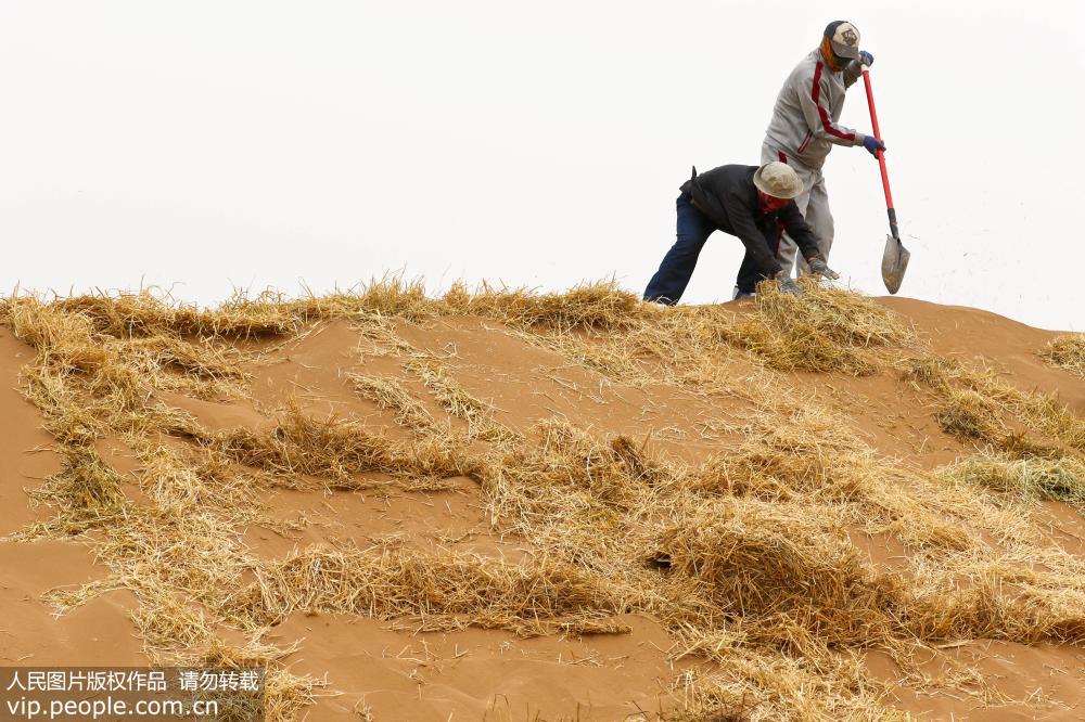 Le Gansu s’active dans la lutte contre la désertification
