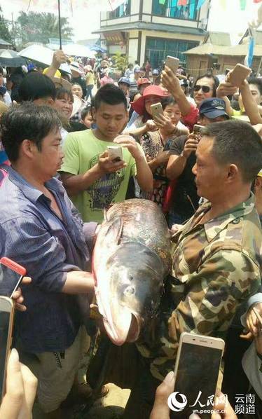 Concours de pêche dans le Yunnan 