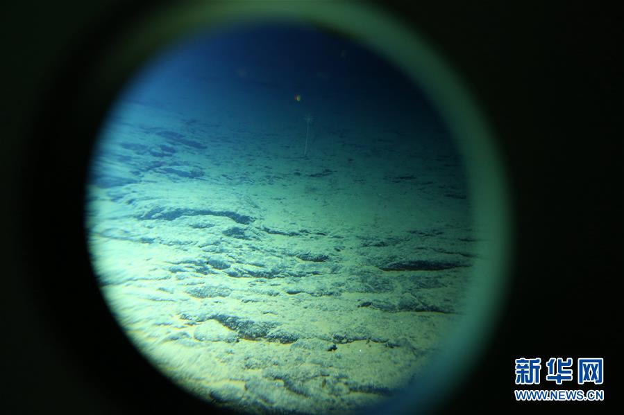 Fosse des Mariannes : découverte d'un monde aquatique à 4811 m