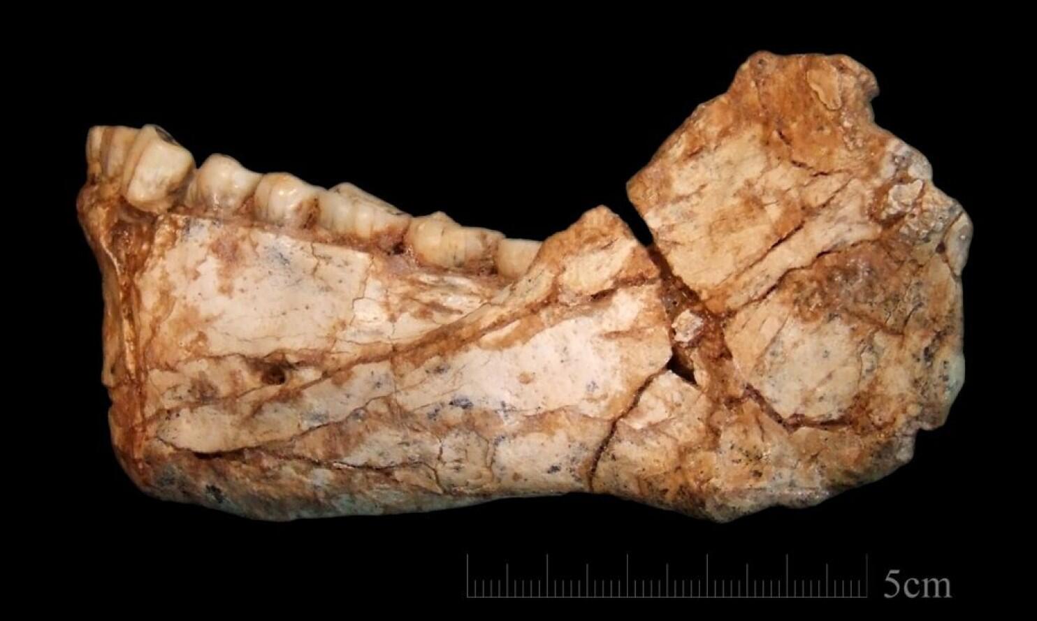 Découverte au Maroc des restes d'Homo Sapiens les plus vieux jamais trouvés dans le monde