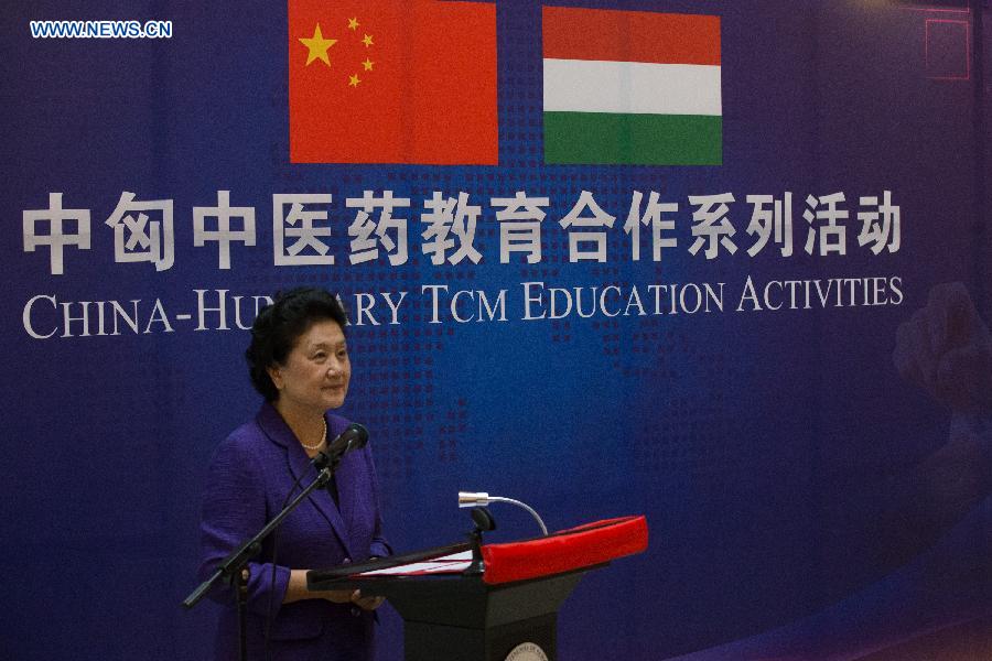 La vice-PM Liu pose la première pierre d'un centre de médecine traditionnelle chinoise à Budapest