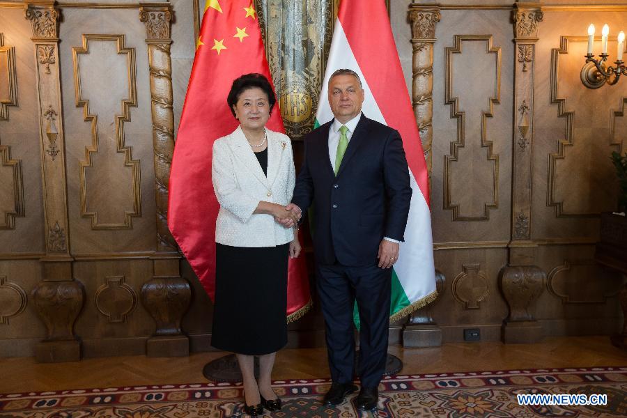 La vice-Première ministre chinoise rencontre le Premier ministre hongrois
