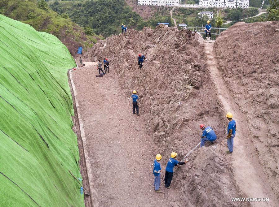 Chine : un grand site de fossiles de dinosaures découvert à Chongqing