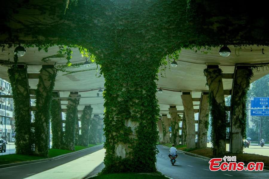 Un pont vert à Chengdu