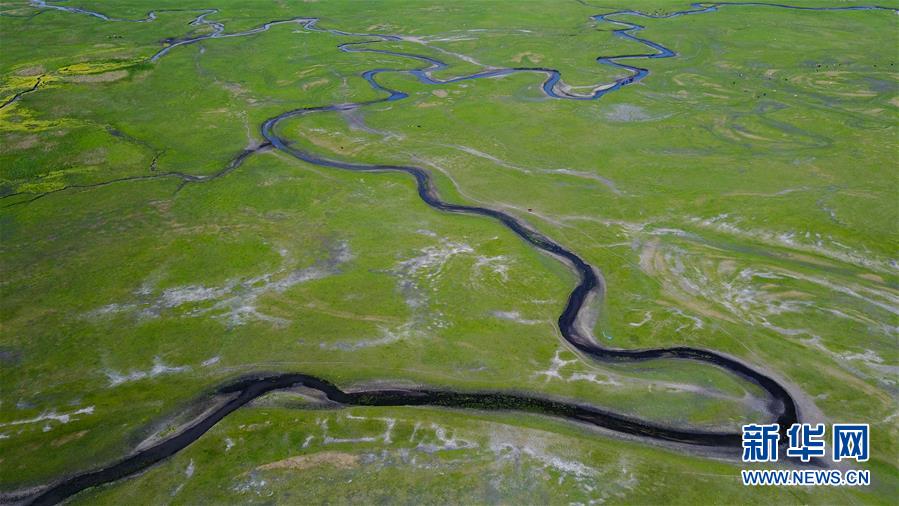 Les paysages estivaux de la prairie Hulunbuir