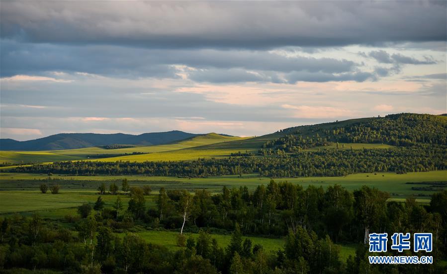 Les paysages estivaux de la prairie Hulunbuir