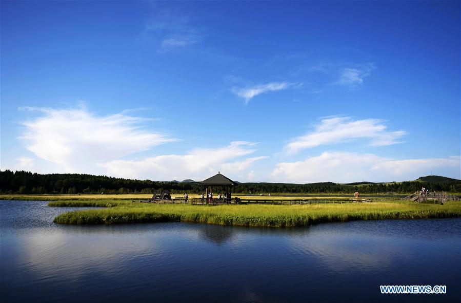 Hebei : la beauté du parc forestier national de Saihanba