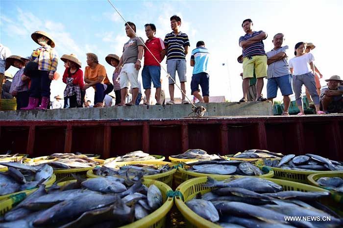 Début de la saison de pêche en mer de Chine du Sud