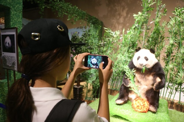 Dalian : un premier Musée d'anatomie dédié au panda géant