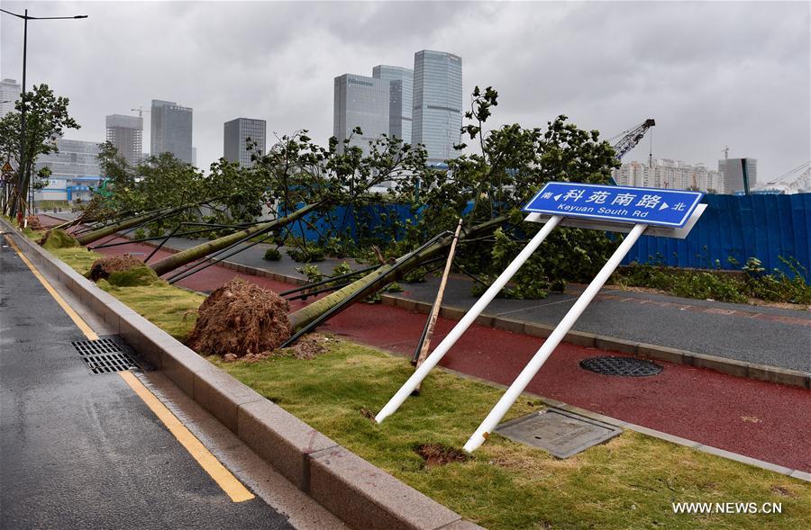 Le typhon Hato a touché terre dans le sud de la Chine