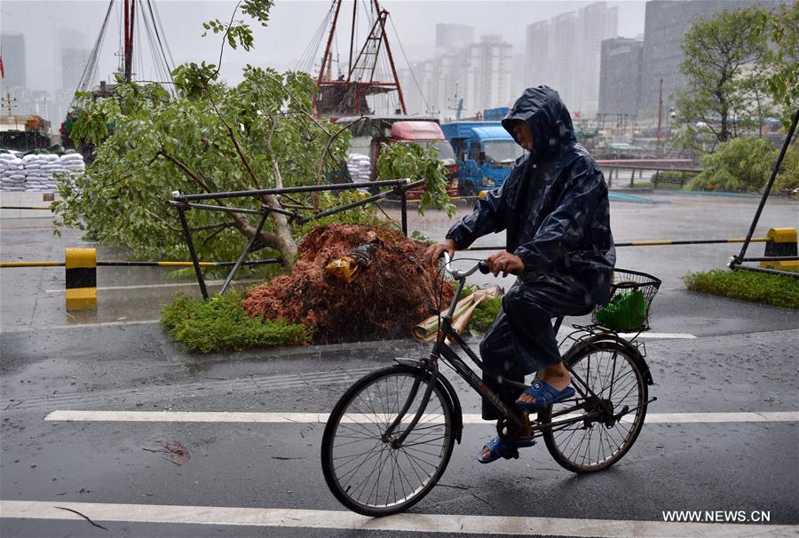 Le typhon Hato a touché terre dans le sud de la Chine