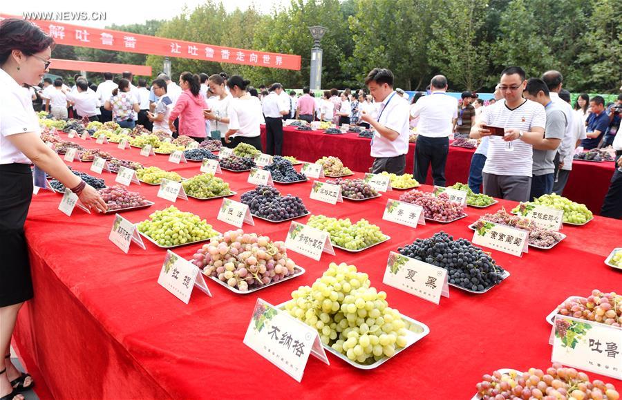 Ouverture du festival du raisin de Turpan 