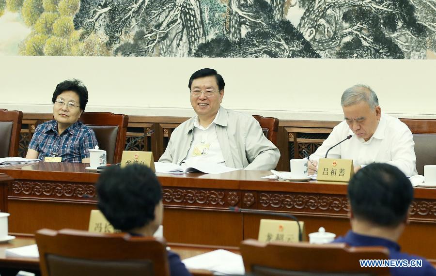 Zhang Dejiang participe à une délibération en groupe lors de la session bimestrielle de l'APN