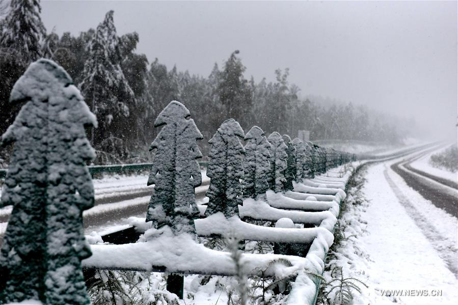 Premières neiges de l'automne dans le nord-est de la Chine