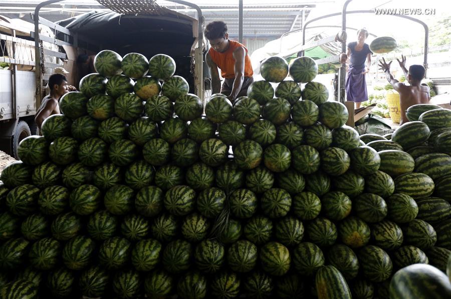 Exportation de fruits birmans en Chine