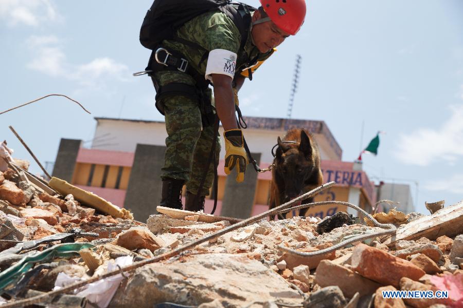 Mexique : le bilan du séisme s'alourdit à 95 morts