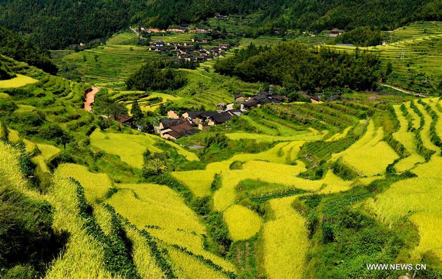 Paysages de terrasses dans le Fujian