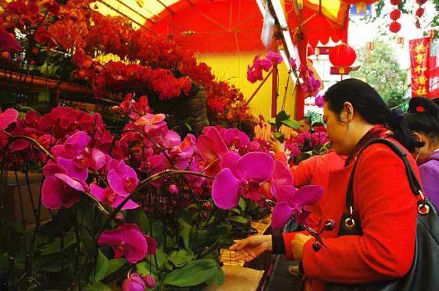 Un salon international floral à Guangzhou