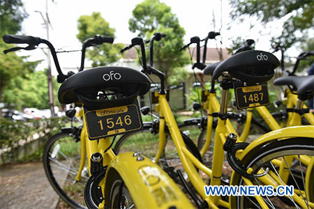 La famille d'un enfant tué en utilisant un vélo partagé demande 8 millions de yuans d'indemnités
