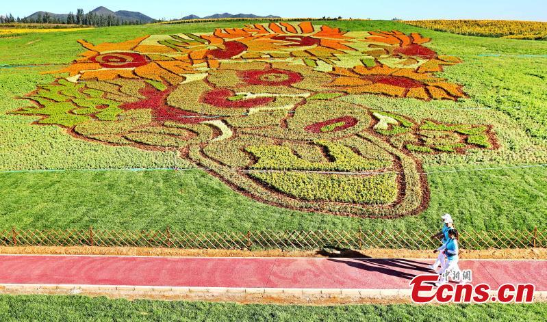Les tournesols de Van Gogh inspirent un village chinois