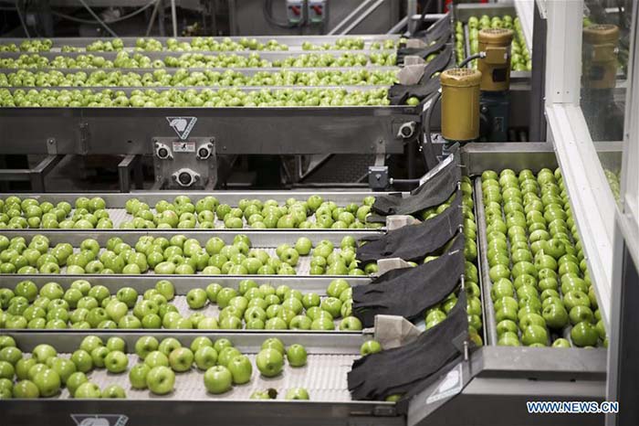 Exportation de pommes américaines en Chine via l'e-commerce 