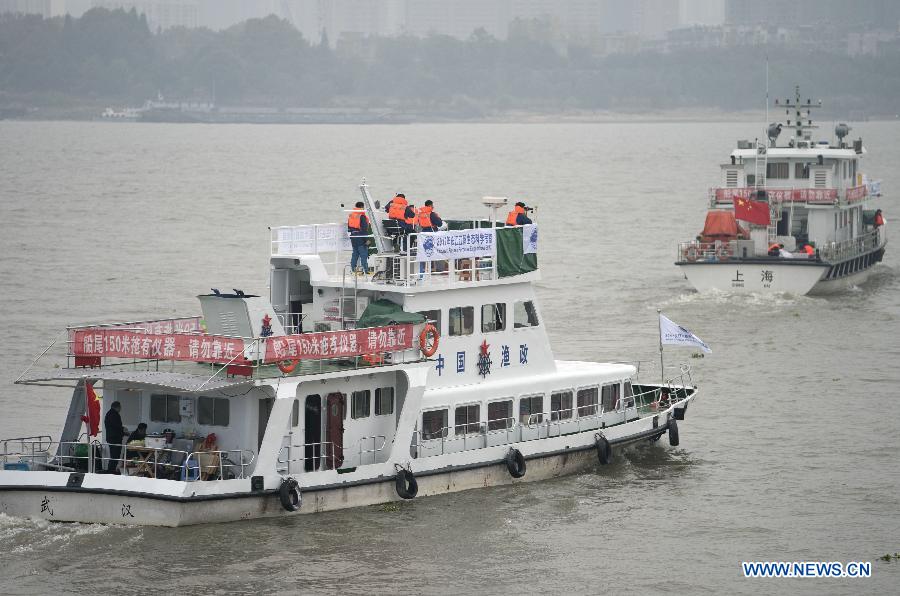 La Chine lance une enquête sur les marsouins aptères du fleuve Yangtsé en voie de disparition