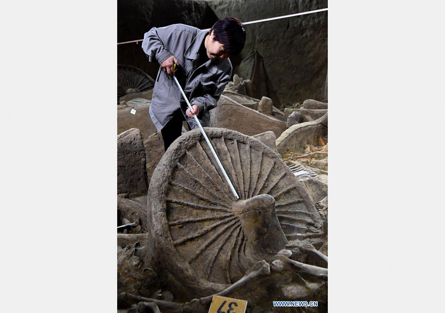 Des chevaux et charrettes millénaires mis à jour en Chine