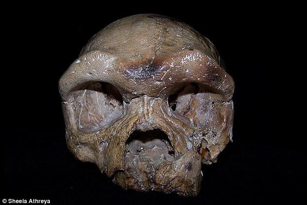 Un crâne trouvé en Chine pourrait réécrire l'histoire de l'évolution humaine