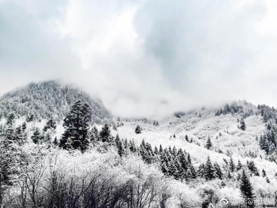 La magie de la vallée de Jiuzhaigou sous la neige