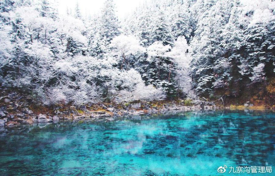 La magie de la vallée de Jiuzhaigou sous la neige