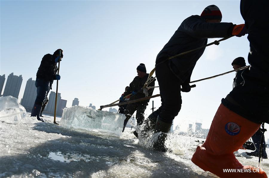 Harbin se prépare pour son festival de sculptures de glace
