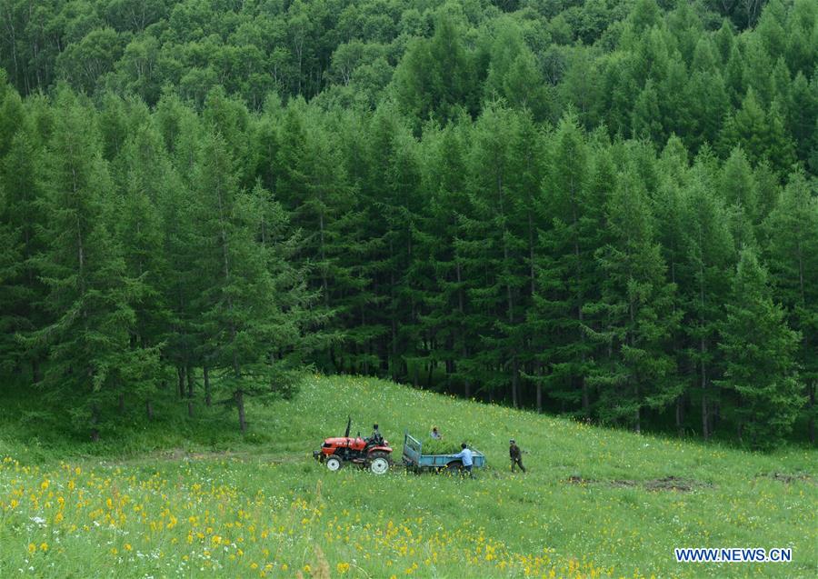 Des forestiers chinois reçoivent un prix de l'ONU