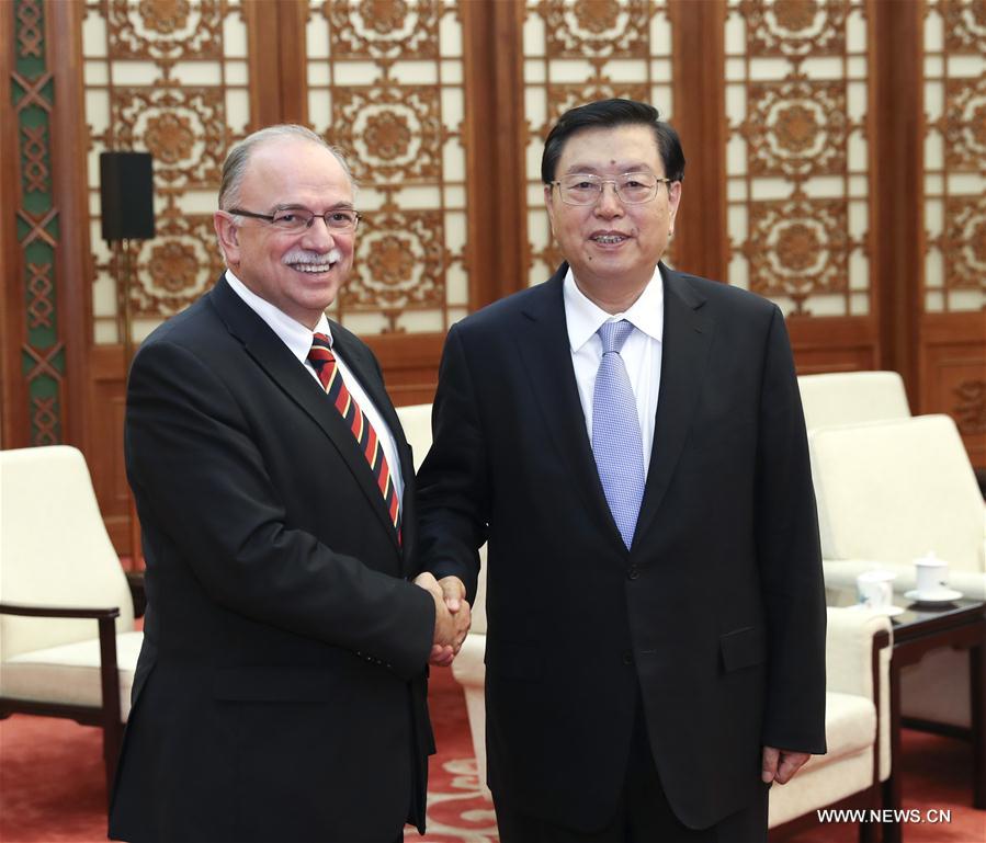 Zhang Dejiang rencontre un vice-président du Parlement européen