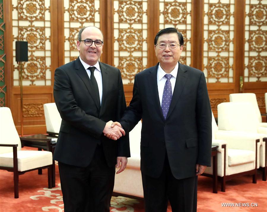 Le plus haut législateur chinois rencontre le président de la Chambre des conseillers du Maroc