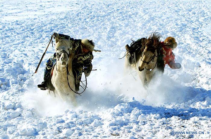 Apprivoisement de chevaux sur la neige dans le Nord de la Chine