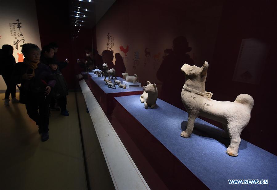 Chine : exposition de reliques culturelles sur le thème du chien à Nanjing