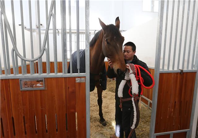 Le cheval offert par Emmanuel Macron à Xi Jinping
