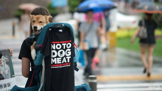 JO de PyeongChang : les restaurants de viande de chien refusent de cesser d'en servir