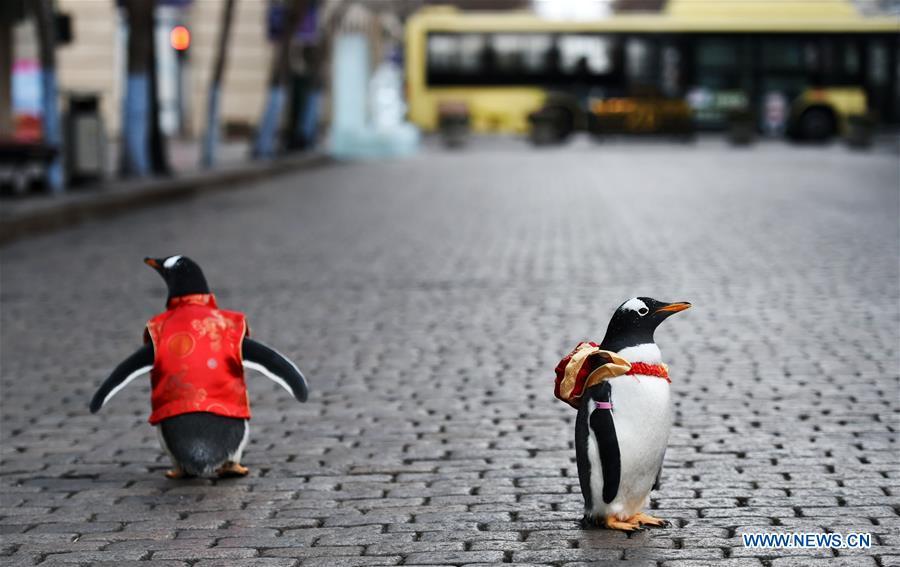 Des pingouins habillés en costumes Tang dans l'avenue centrale de Harbin