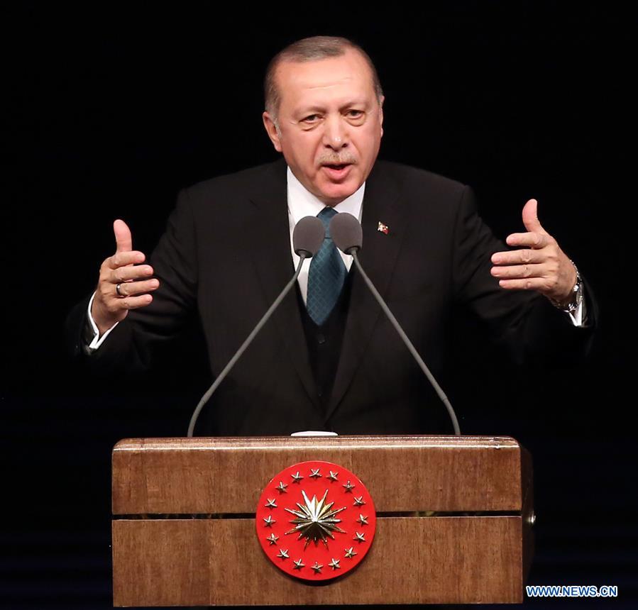 Le président turc rejette la motion du Parlement européen sur l'enclave d'Afrine