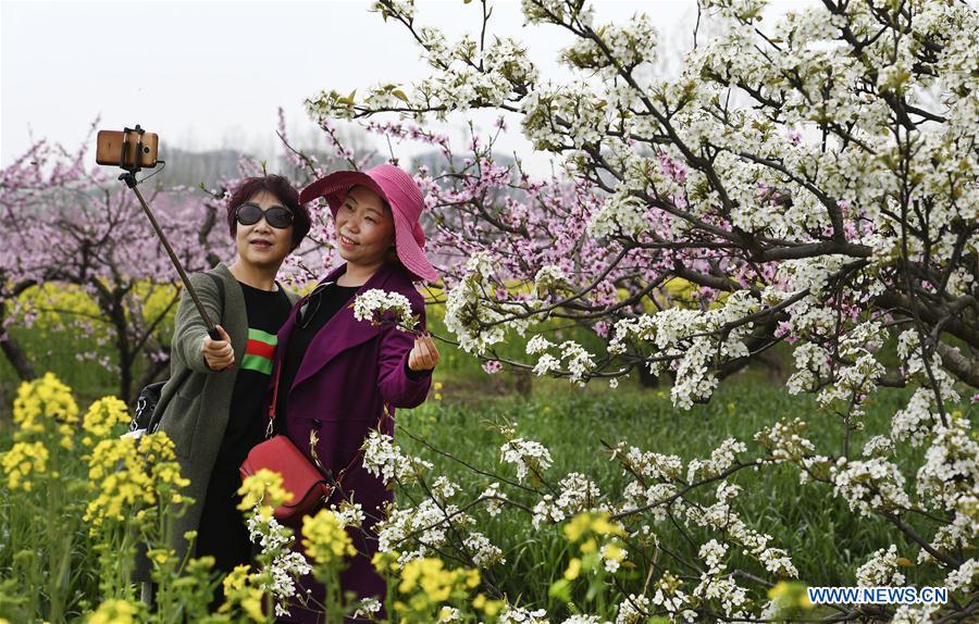 Le meilleur moment pour apprécier les fleurs de printemps en Chine