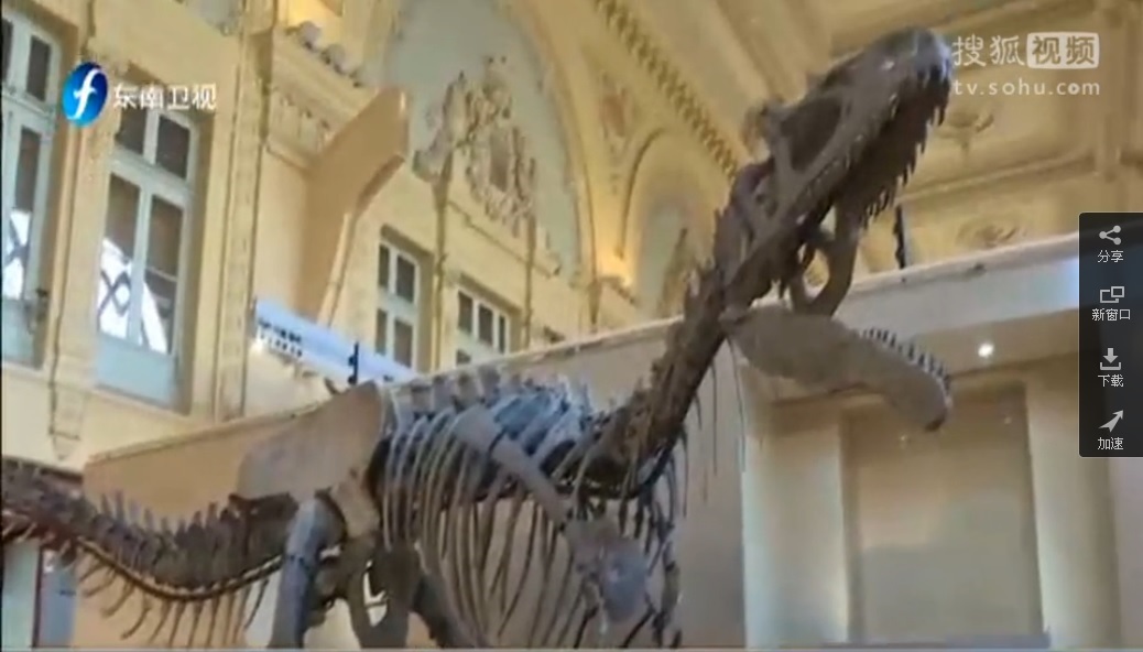 Deux squelettes de dinosaures vendus 1,4 million d'euros pièce à Paris