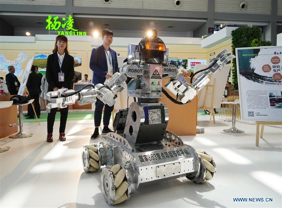 Les robots en vedette lors de l'exposition de la Route de la Soie